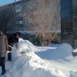 Вольские студенты-медики почтили память героев Великой Отечественной войны