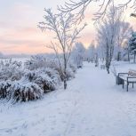 На всероссийский фотоконкурс «Единой России» о результатах народной программы партии поступило почти 250 работ