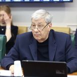 Аркадий Чернецкий  и Александр Высокинский приняли участие в круглом столе Совета Федерации на тему  развития деревянного домостроения на территории Российской Федерации