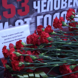 Возложение цветов, акции памяти, символические композиции: «Единая Россия» и МГЕР почтили память Героев блокадного Ленинграда по всей стране
