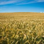 Разработку современной аграрной политики предложили включить в народную программу «Единой России»