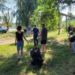 В Староминском районе молодые депутаты организовали экологическую акцию