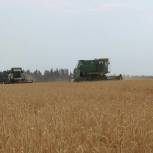 Разработку современной аграрной политики предложили включить в народную программу «Единой России»