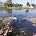В Полотняном Заводе по просьбе местных жителей очистили пруд