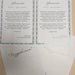 Депутат Государственной Думы Олег Колесников поздравил мусульман с праздником Курбан-байрам