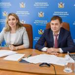 Владимир Нетёсов: Молодежный парламент стал политической площадкой для активных воронежцев