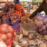 Минсельхоз направил в регионы обращение о необходимости развивать нестационарную торговлю овощами