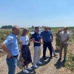 Краснодарский депутат просит привлечь к ответственности владельца земельного участка, где образовалась свалка