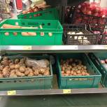 Главная цель — снижение цен на сезонные продукты: парламентарии «Единой России» представили конкретные решения по стабилизации стоимости «борщевого» набора