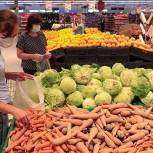 Главная цель — снижение цен на сезонные продукты: парламентарии «Единой России» представили конкретные решения по стабилизации стоимости «борщевого» набора