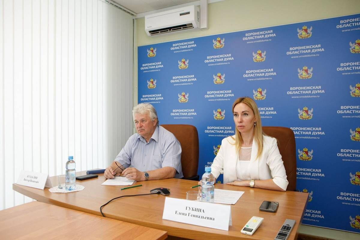 В Воронежской области расширили перечень особо значимых инвестиционных проектов