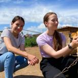 Иркутские молодогвардейцы помогли приюту для собак «Дорога к дому»