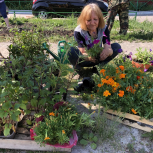 Партийцы Тракторозаводского района раздали жителям саженцы цветов