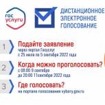 В Курске началась регистрация для участия в дистанционном электронном голосовании