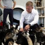 Единоросс Антон Рудаков обсудил перспективы государственно-частного партнёрства с сотрудниками самого большого в Петербурге кошачьего приюта