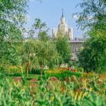 Мэр Москвы Сергей Собянин: В этом году на улицах и в парках Москвы расцветет 55 миллионов цветов