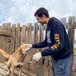 Молодогвардейцы посетили приют для собак в Иркутске и помогли накормить более 200 животных