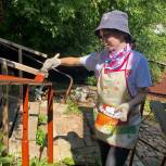 Молодогвардейцы помогли уфимским пенсионерам с работой в саду