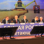 Конференция реготделения «Единой России» пройдет в несколько этапов