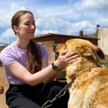 В Иркутской области активисты «Молодой Гвардии Единой России» помогли приюту для собак