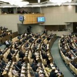 Светлана Бессараб: В весеннюю сессию Госдума приняла важные социальные законы