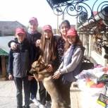 Школьники Металлургического района поддерживают приюты для животных