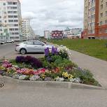 Именно ваш двор и дом могут стать лучшими!