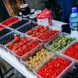В Чувашии прошел первый в истории региона ягодный фестиваль