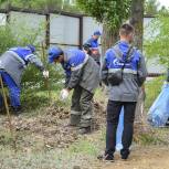 При поддержке «Единой России» на экосубботнике в Саратове собрали более 4 тонн мусора
