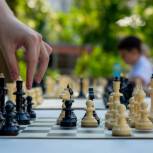 В московских парках пройдут мероприятия в честь Международного дня шахмат