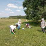 Жители Ермекеевского района собрали травяной сбор для участников СВО