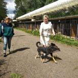 Активисты «Единой России» передали корм в приют для бездомных животных в Великом Новгороде