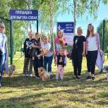 Представители «Единой России» в Луховицах поддержали инициативу жителей по созданию площадки для выгула собак