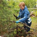 В подмосковном Серпухове «Единая Россия» организовала акцию «Чистый лес»