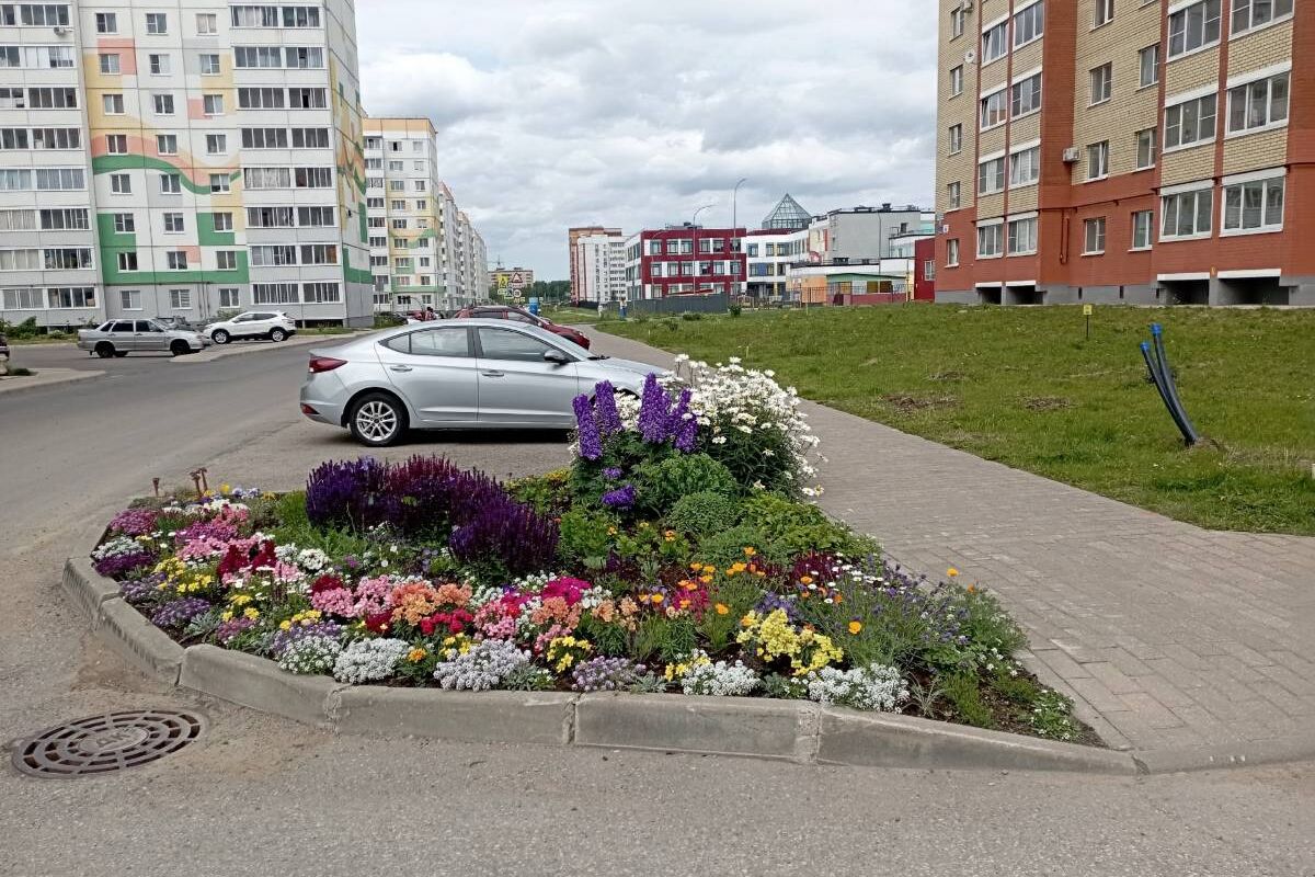 Именно ваш двор и дом могут стать лучшими! | 06.07.2023 | Великий Новгород  - БезФормата