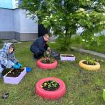 Губкинские единороссы высадили более 200 растений в клумбы у многоквартирных домов