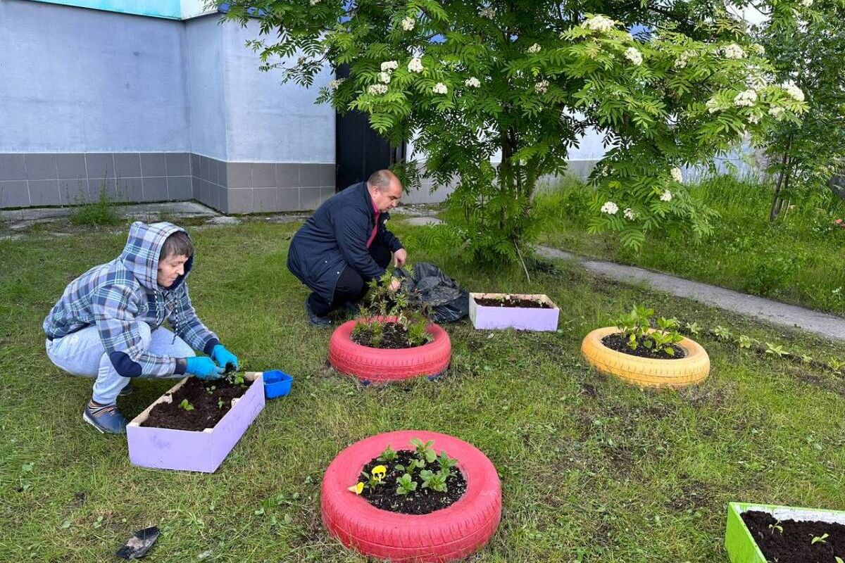 Губкинские единороссы высадили более 200 растений в клумбы у  многоквартирных домов