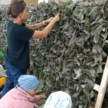 Татарстанцы продолжают оказывать помощь бойцам СВО