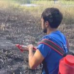 Активисты «Молодой Гвардии Единой России» помогают в тушении пожара в Краснодарском крае