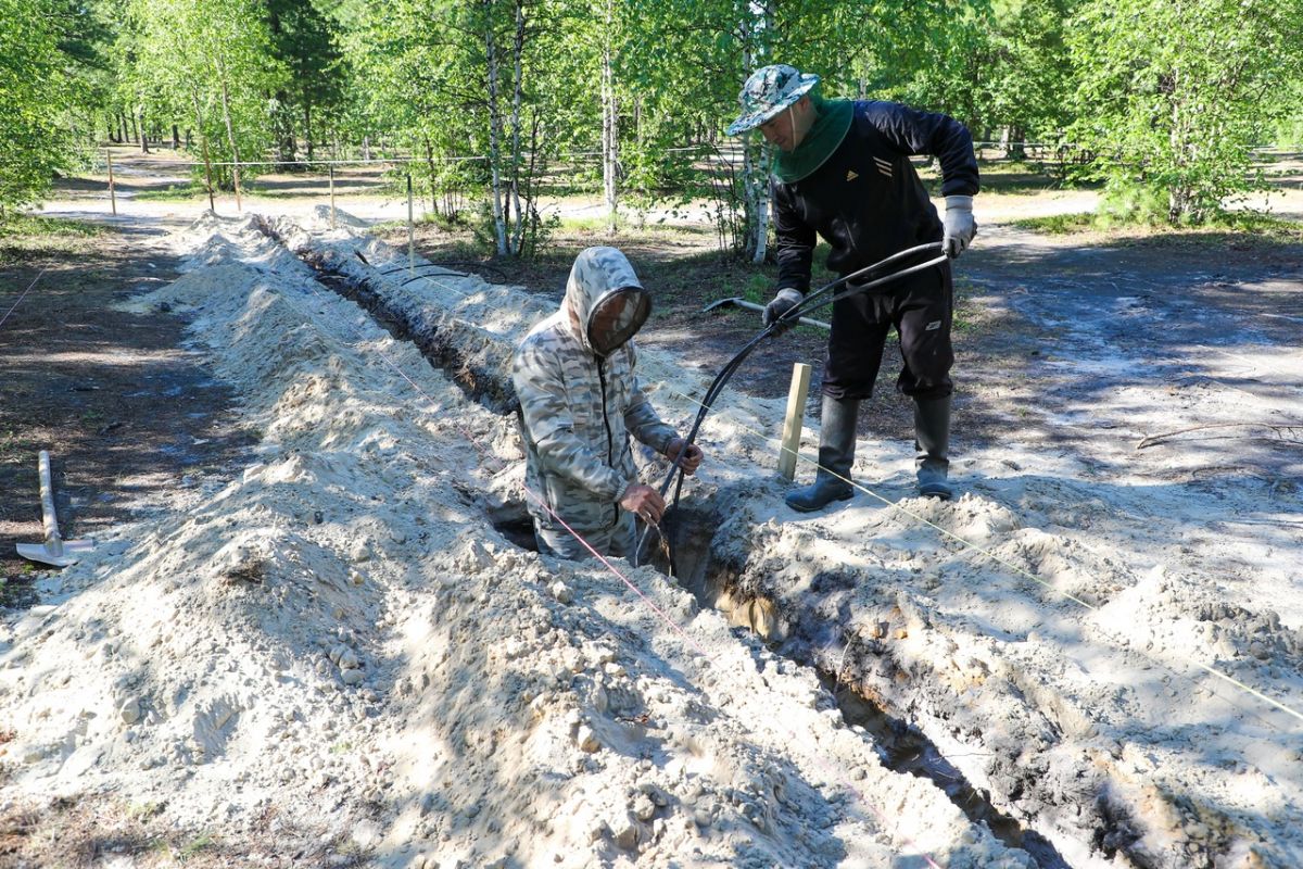 В Надыме появится экопарк в Кедровой роще