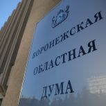 На последнем заседании Воронежской областной Думы VII созыва депутаты приняли блок социальных законов