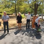 У дома №119 на проспекте Генерала Острякова собираются установить скамейки