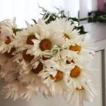 Партийцы отпраздновали День Петра и Февронии