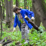В Пушкинском округе единороссы совместно с жителями очистили более гектара лесополосы