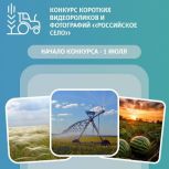 Партпроект «Единой России» «Российское село» запускает конкурс фотографий и коротких видеороликов