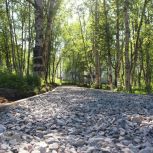 Кольские партийцы оценили благоустройство парка в Мурмашах