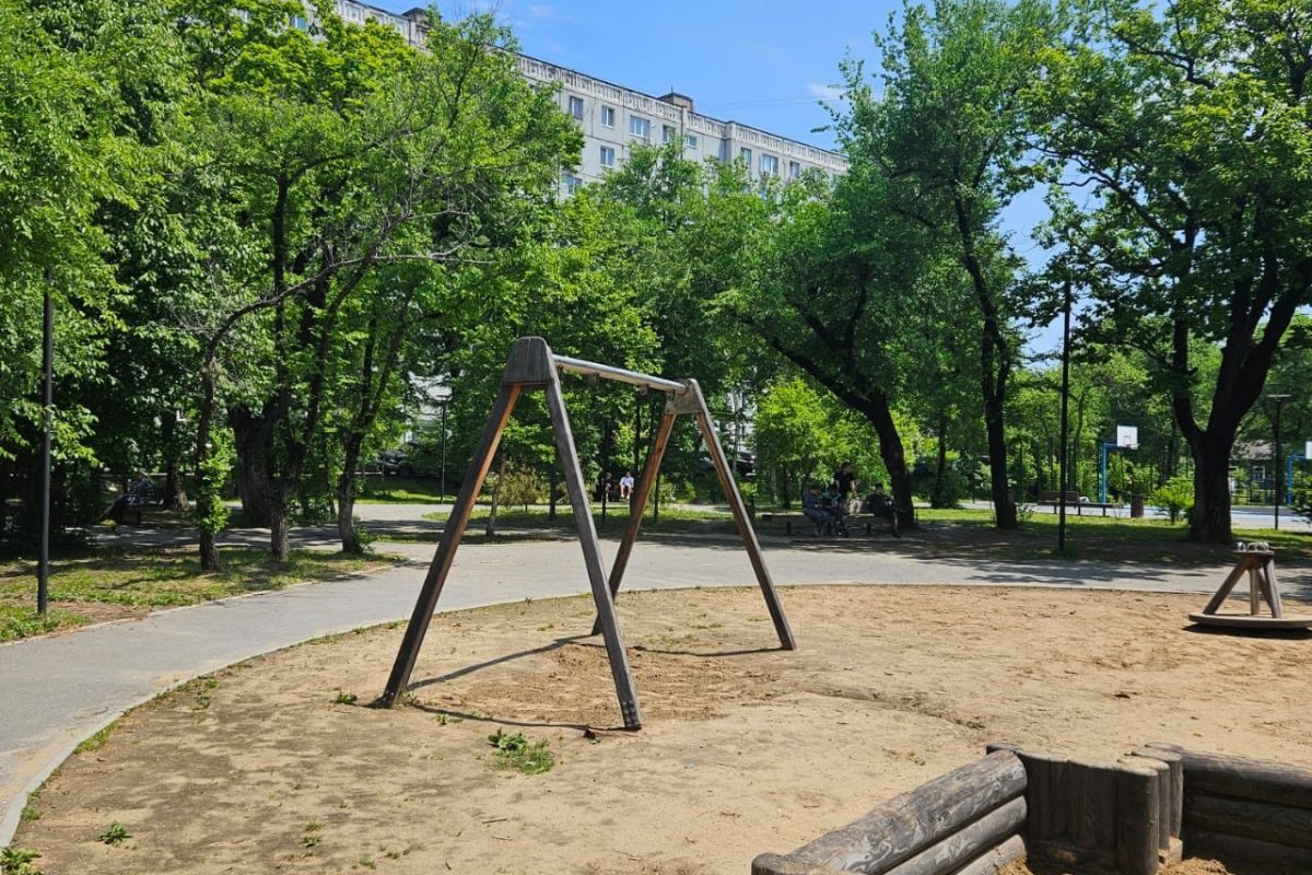 Школьное питание, благоустройство и сохранение памяти: приморские «первички» меняют жизнь на местах