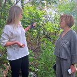 Елена Стифорова поможет жителям с приведением в порядок зеленой зоны