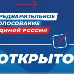 В Ярославле началось предварительное голосование