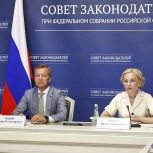 Ирина Яровая предложила создавать условия для трудоустройства участников СВО на государственную и муниципальную службу